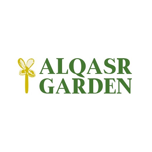 restaurants near me, Italian cuisine
